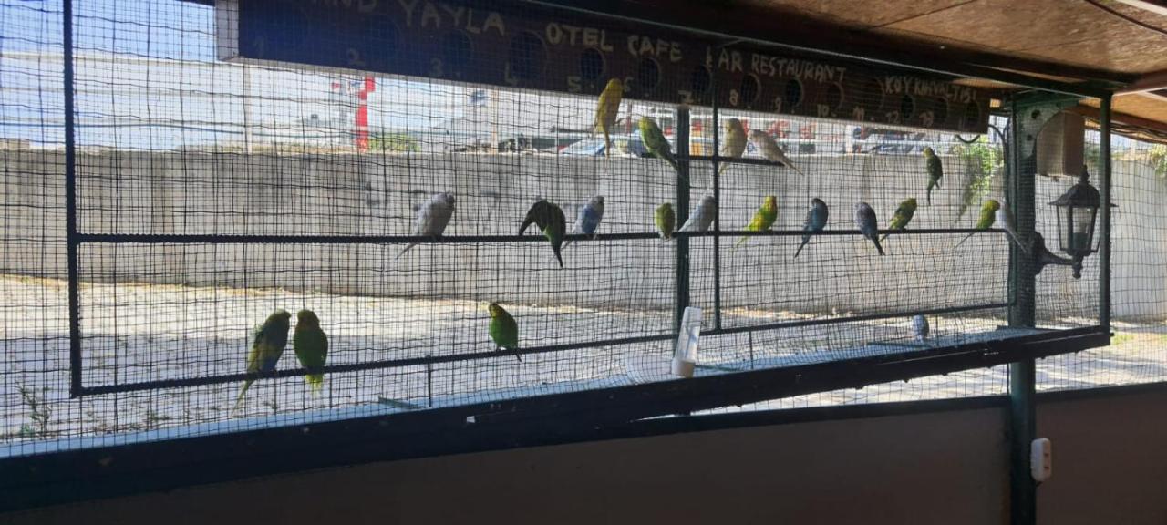 Grand Yayla Hotel Çeşme المظهر الخارجي الصورة