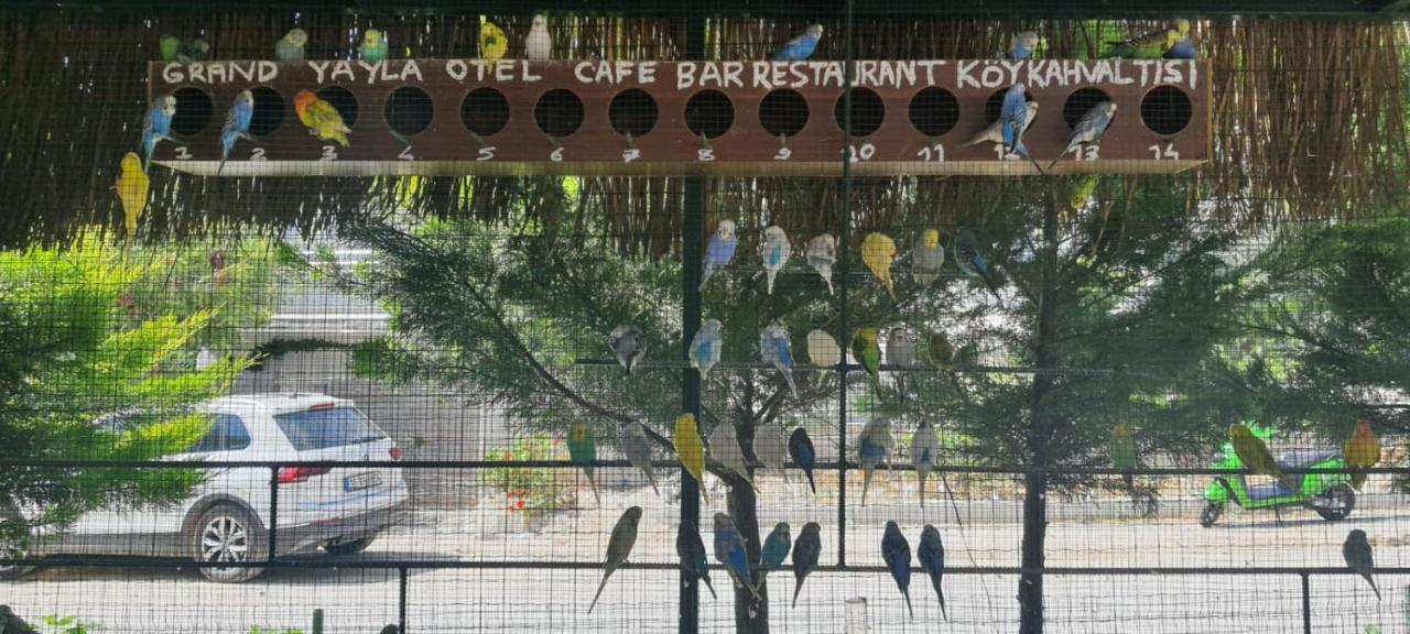 Grand Yayla Hotel Çeşme المظهر الخارجي الصورة
